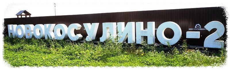 front_image of Novokosulino-2